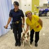 Cães da Guarda Municipal de Santos visitam a Santa Casa